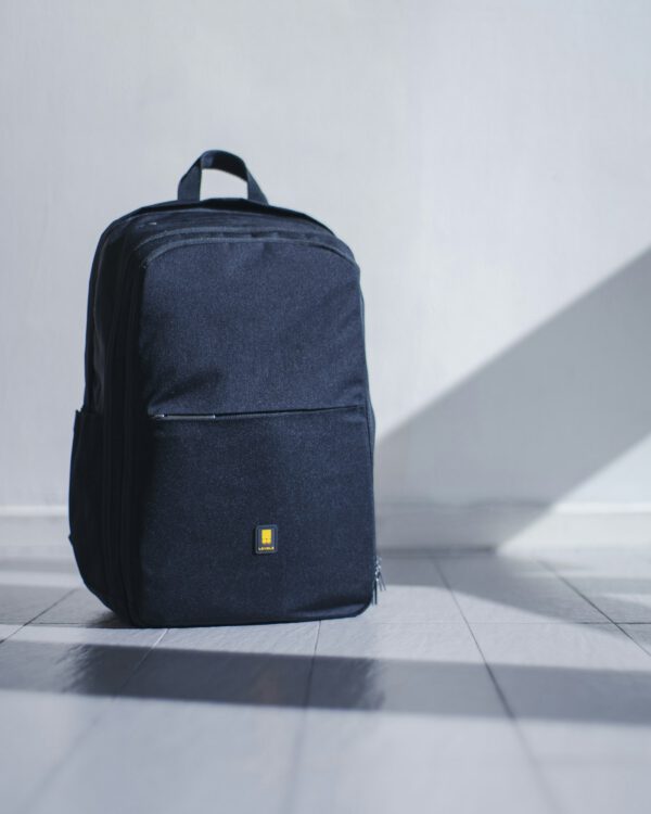 Roam Daypack 20L